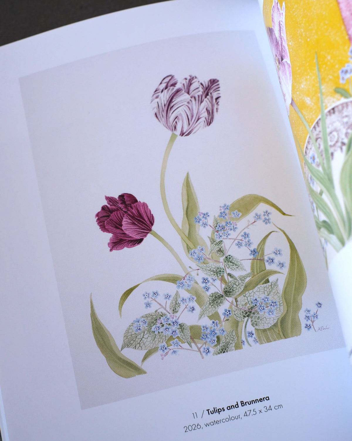 Cultivated Colour