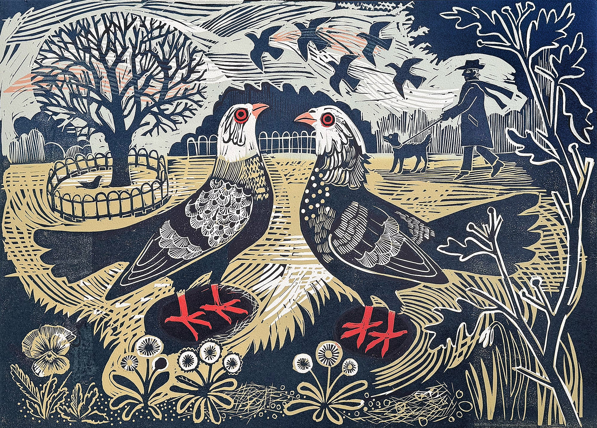 Pigeons In The Park 26/30