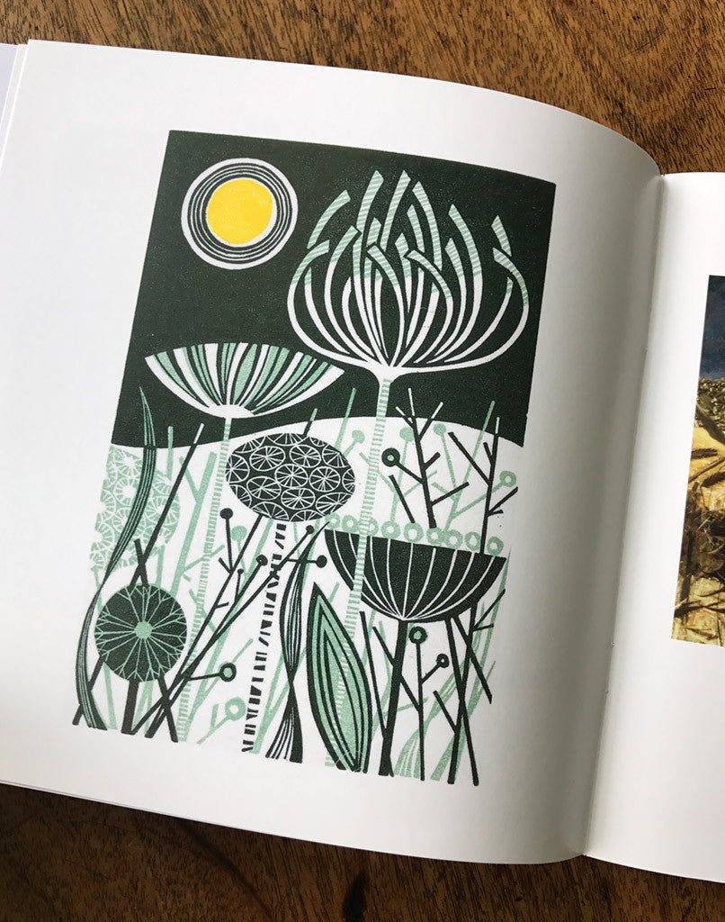 A Printmaker's Journey - Angie Lewin - St. Jude's Prints