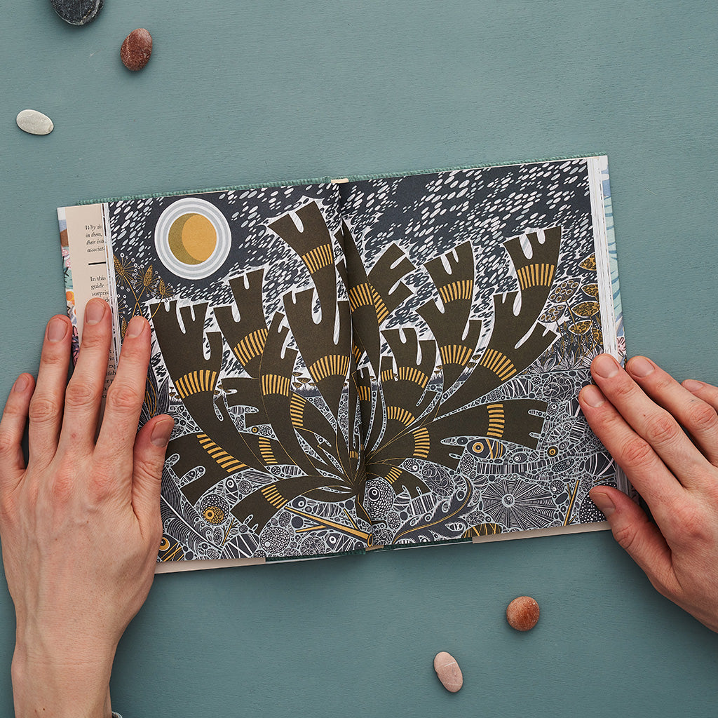 The Book of Pebbles - Angie Lewin - St. Jude's Prints