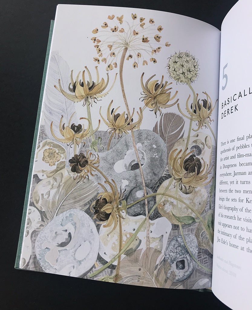 The Book of Pebbles - Angie Lewin - St. Jude's Prints