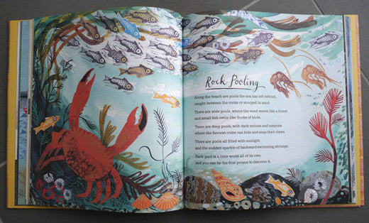 A First Book of Nature, illustrated by Mark Hearld – view 11