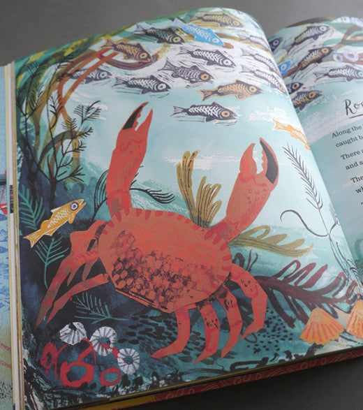 A First Book of Nature, illustrated by Mark Hearld – view 9