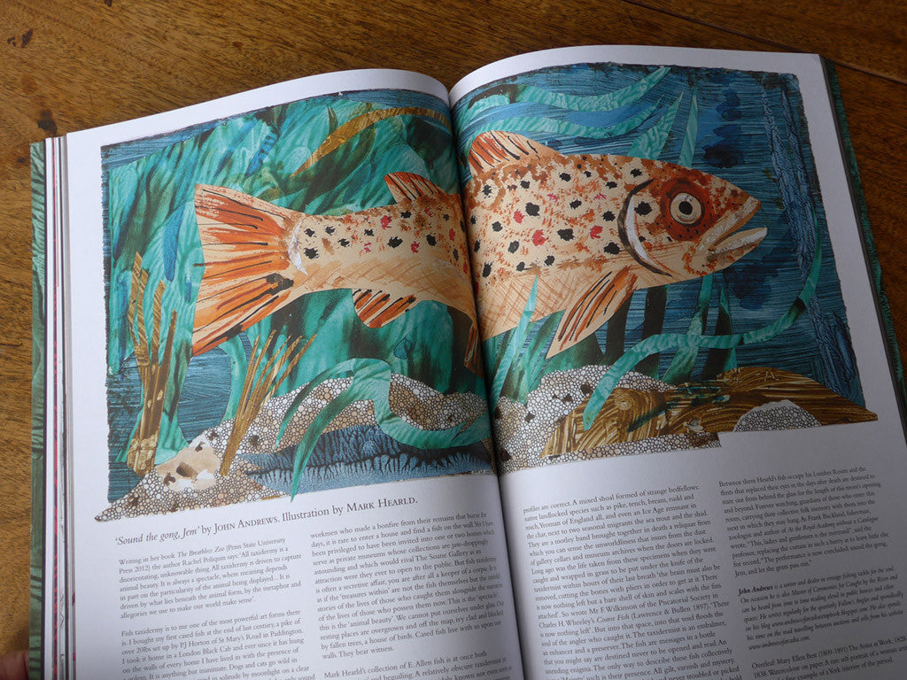 The Lumber Room: Unimagined Treasures - Mark Hearld - St. Jude's Prints