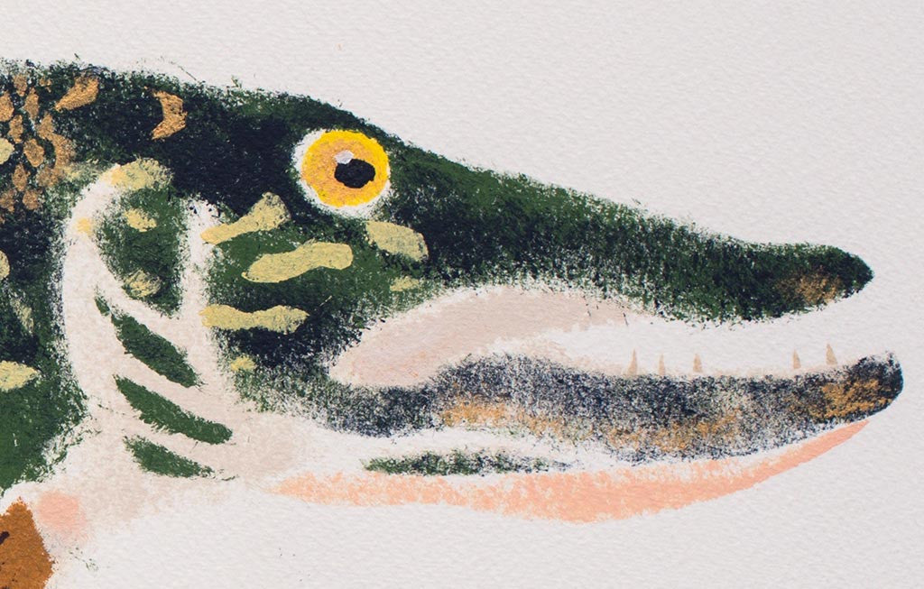 Pike 3/9 - Mick Manning - St. Jude's Prints