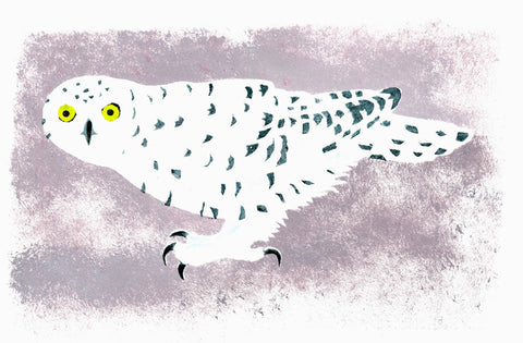 Snowy Owl - Mick Manning - St. Jude's Prints