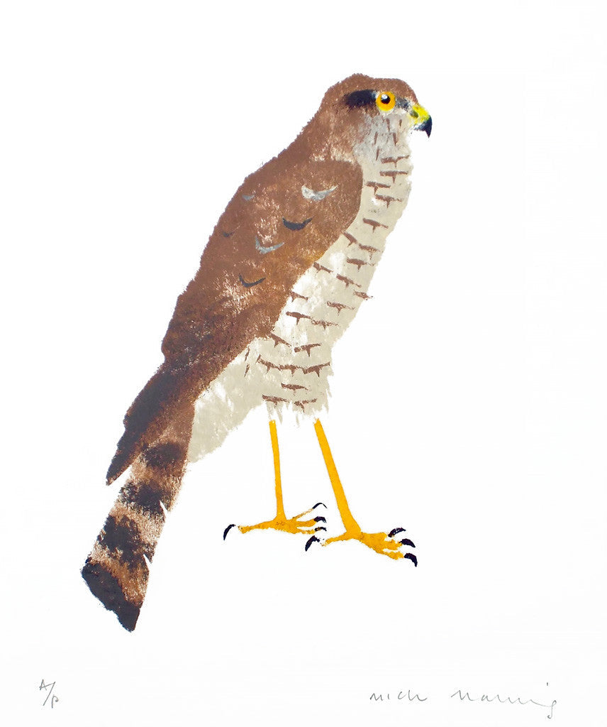 Sparrowhawk - Artist's Proof 1 - Mick Manning - St. Jude's Prints