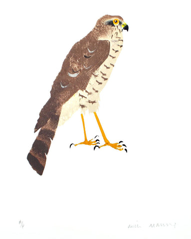 Sparrowhawk - Artist's Proof 2 - Mick Manning - St. Jude's Prints