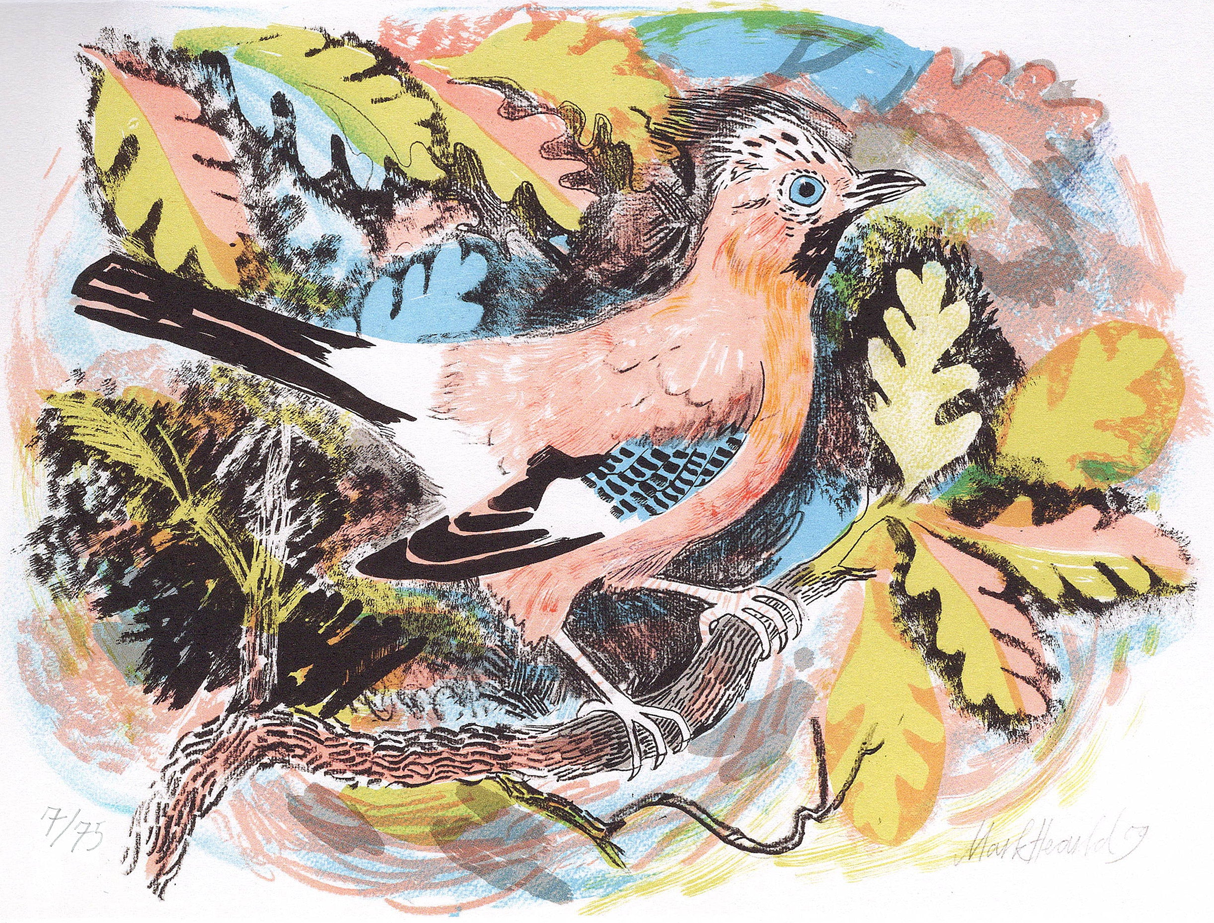 Jay 7/75
