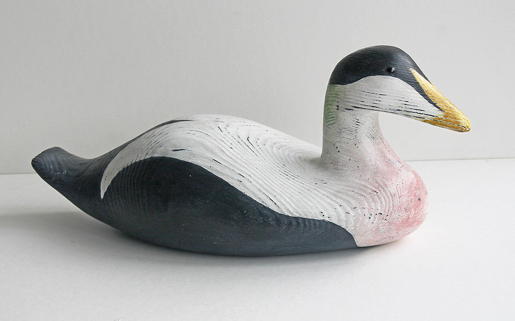 Eider - SOLD - Alex Malcolmson - St. Jude's Prints