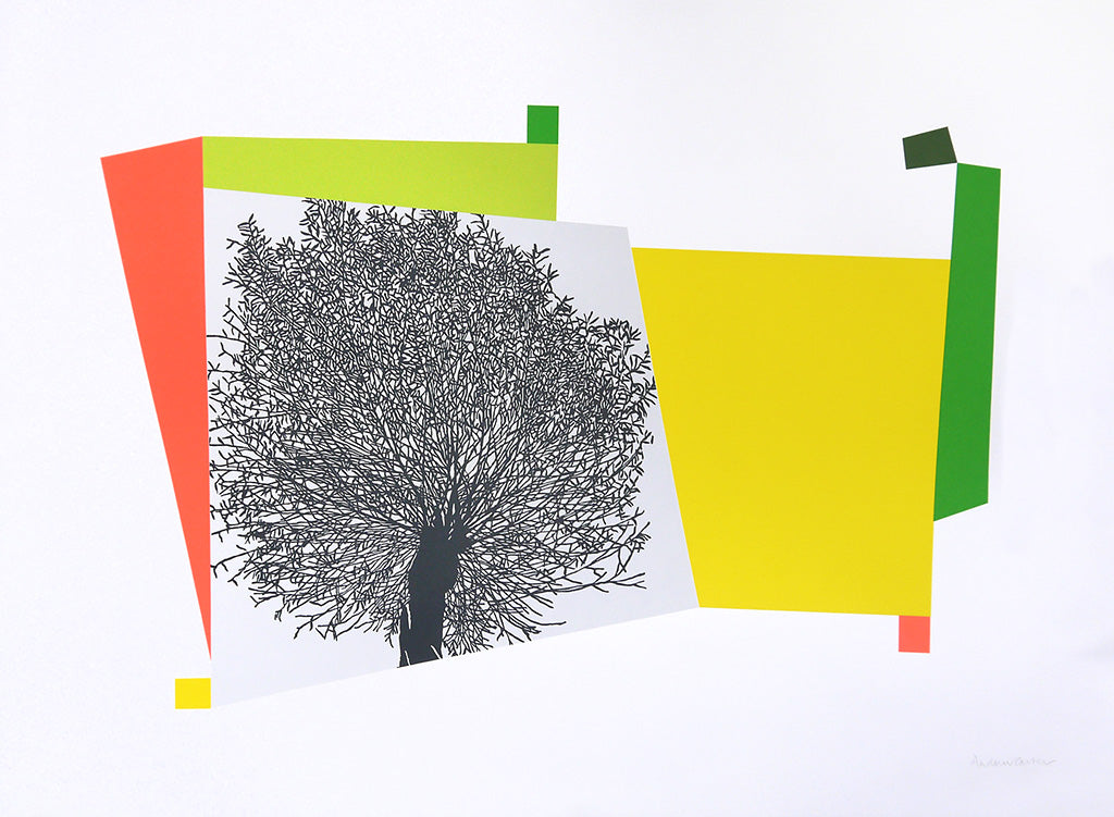Constable Willow 2 - Andrew Carter - St. Jude's Prints