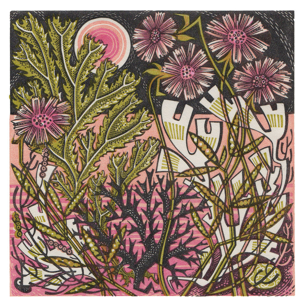 Sea Pinks - Angie Lewin - St. Jude's Prints