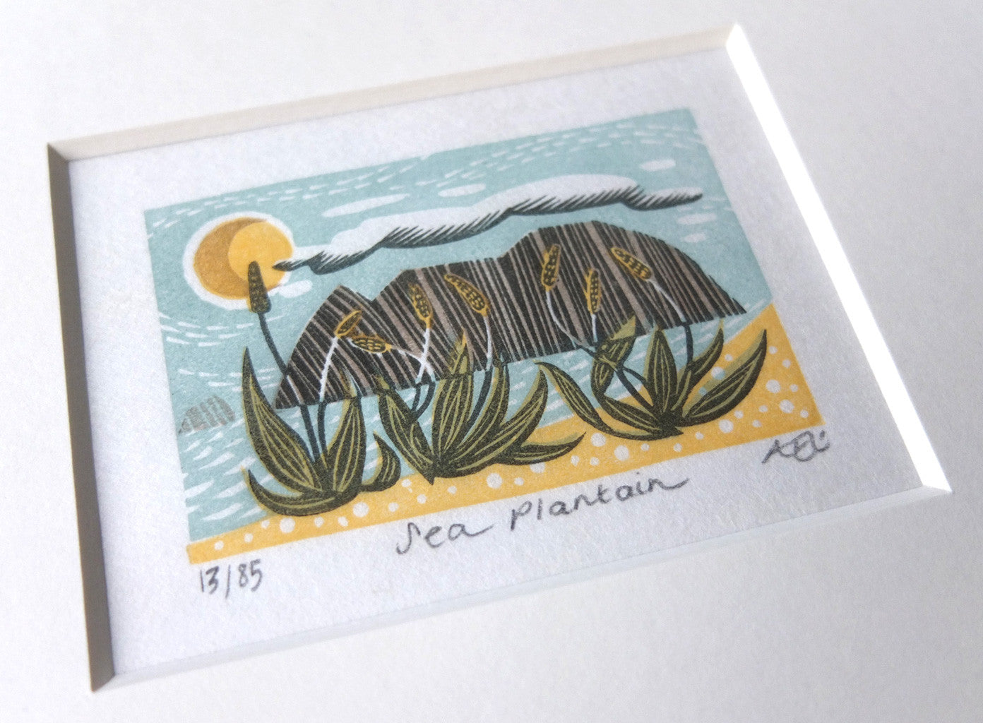 Sea Plantain - Angie Lewin - St. Jude's Prints