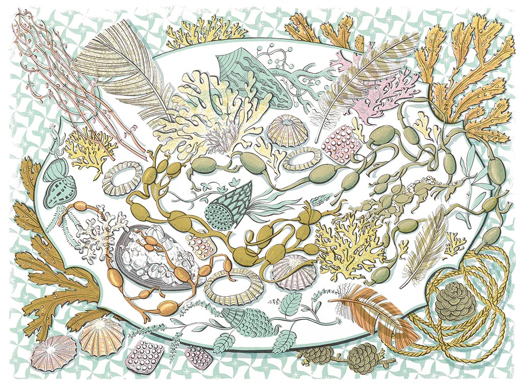 Shell, Seaweed and Feather - Angie Lewin - St. Jude's Prints