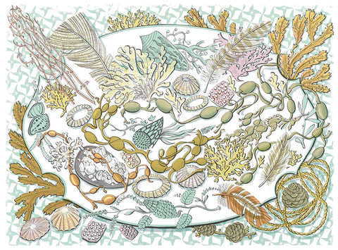 Shell, Seaweed and Feather - Angie Lewin - St. Jude's Prints