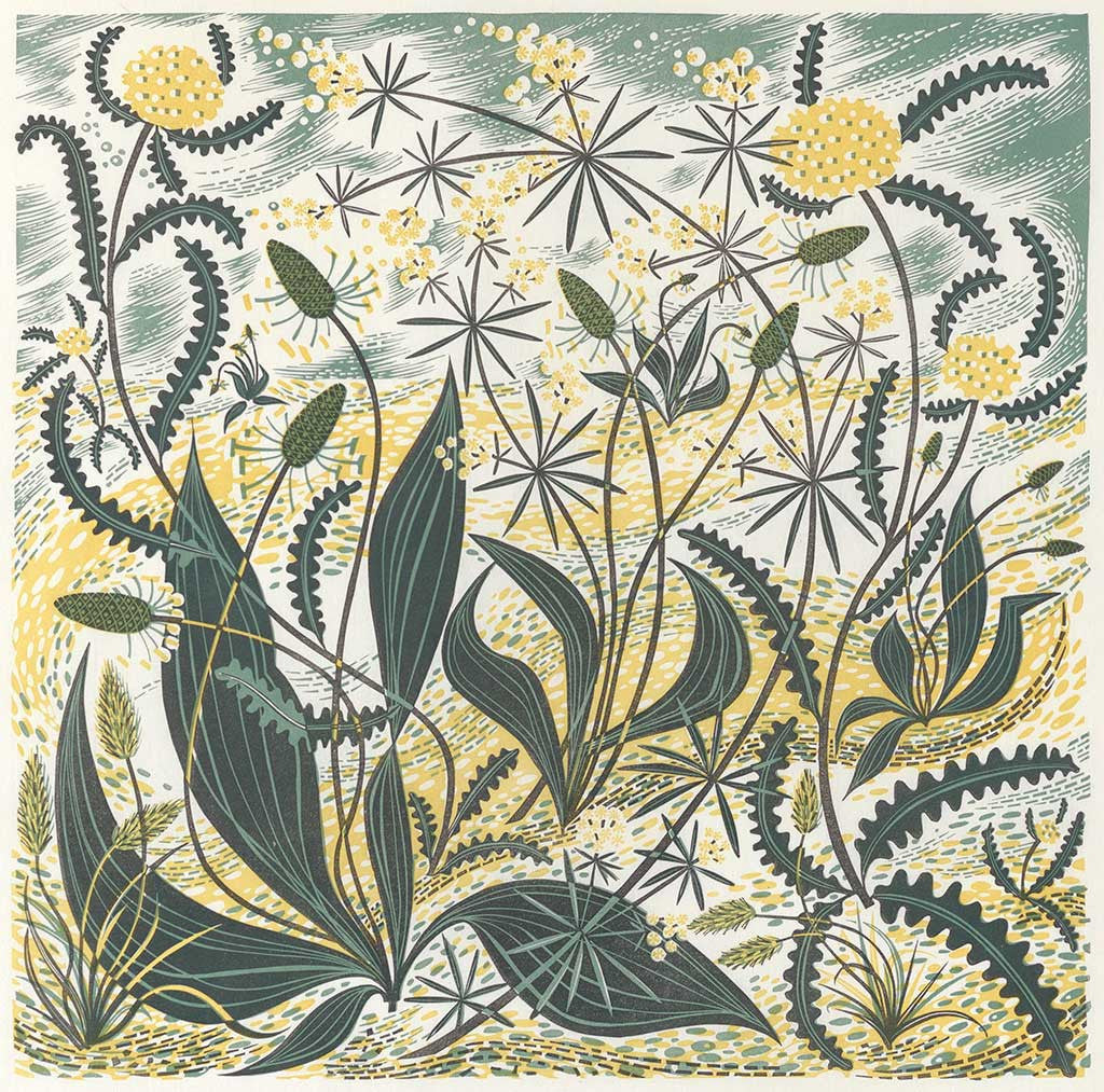Sollas Sands - Angie Lewin - St. Jude's Prints