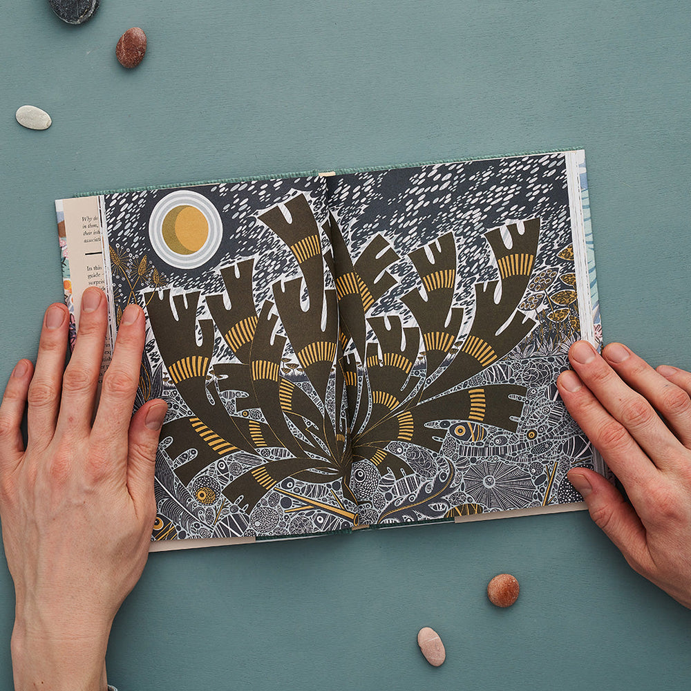 The Book of Pebbles by Christopher Stocks and Angie Lewin