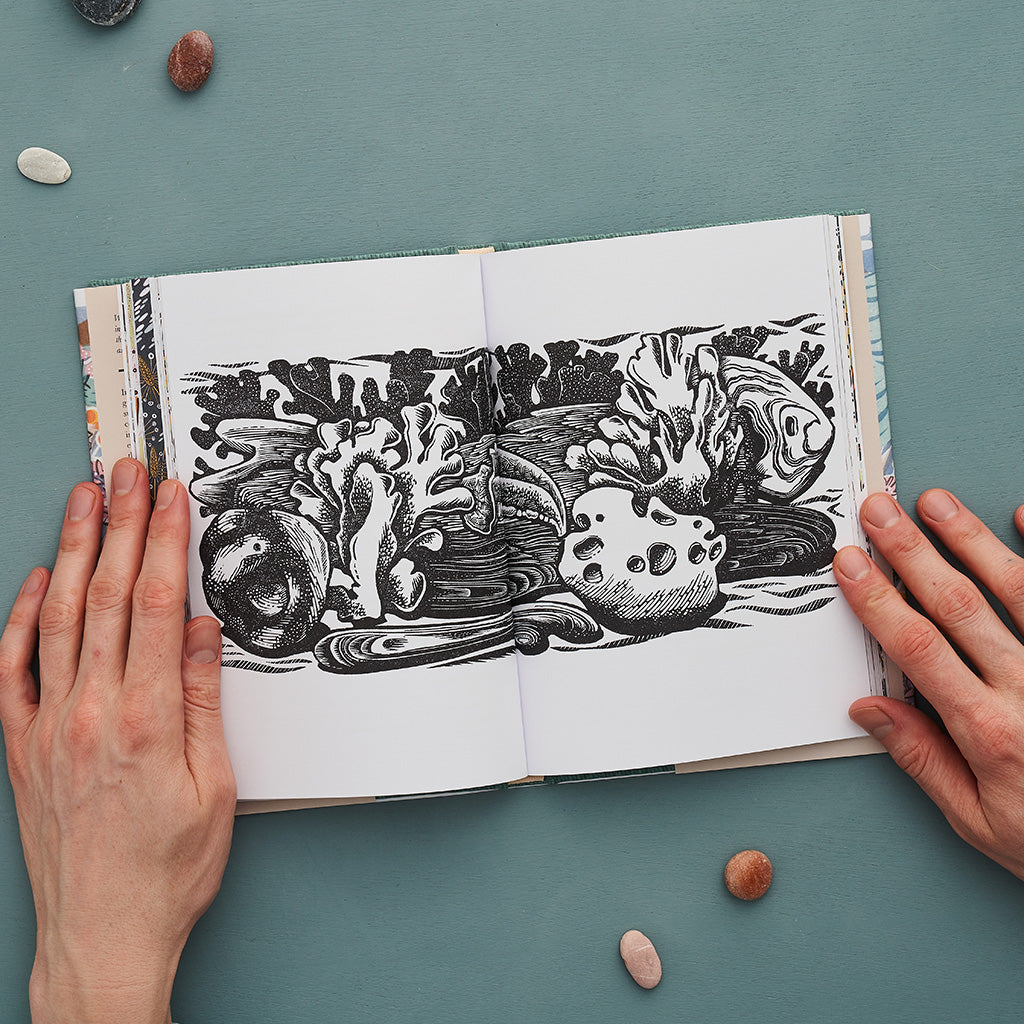 The Book of Pebbles - Angie Lewin - St. Jude's Prints