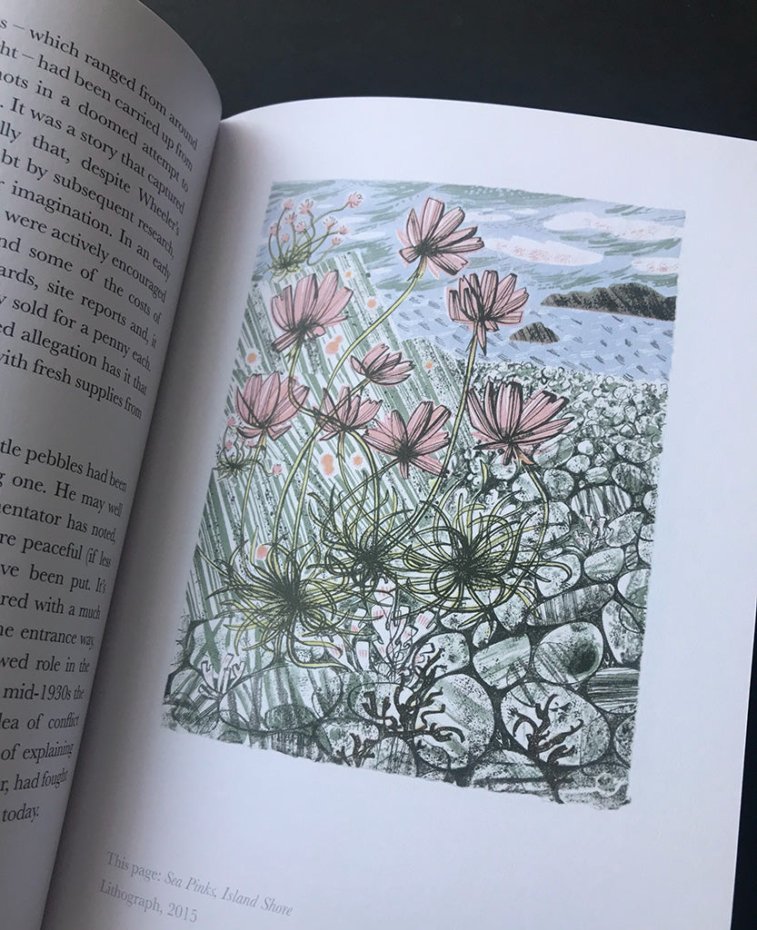 The Book of Pebbles - Angie Lewin - St. Jude's Prints