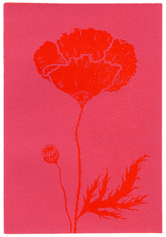 Poppy - Christopher Brown - St. Jude's Prints