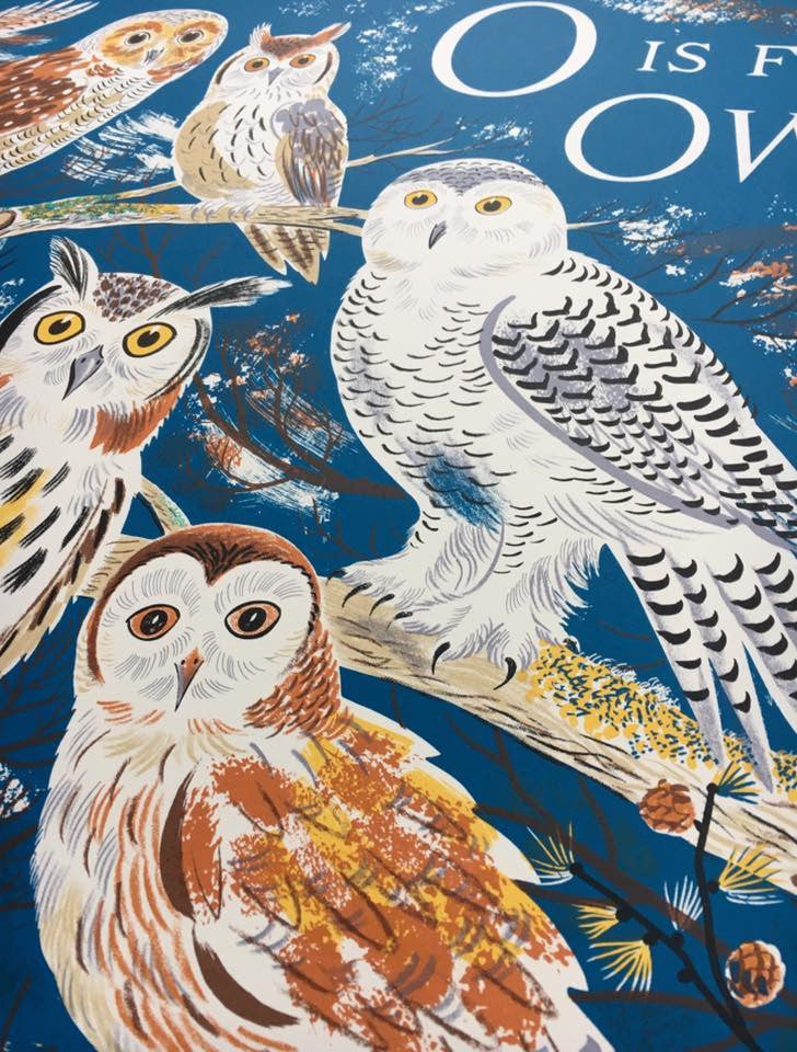 O is for Owl - Emily Sutton - St. Jude's Prints