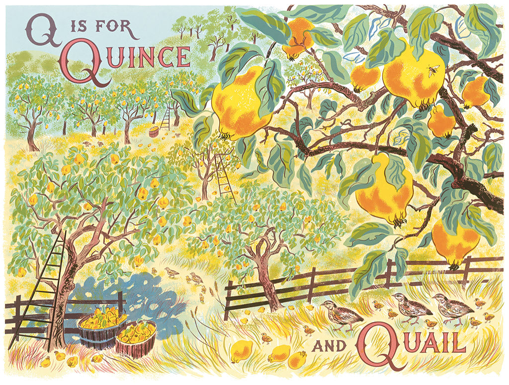 Q is for Quince - Emily Sutton - St. Jude's Prints