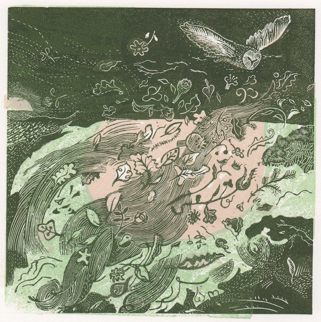 Blodeuwedd - Graham Evans - St. Jude's Prints