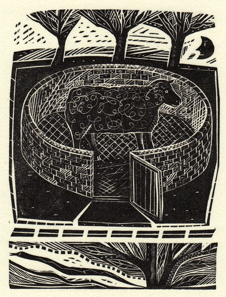Black Sheep - Jonathan Gibbs - St. Jude's Prints