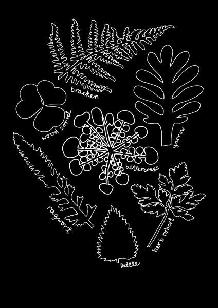 Some Common Weeds - Lucy Gough - St. Jude's Prints