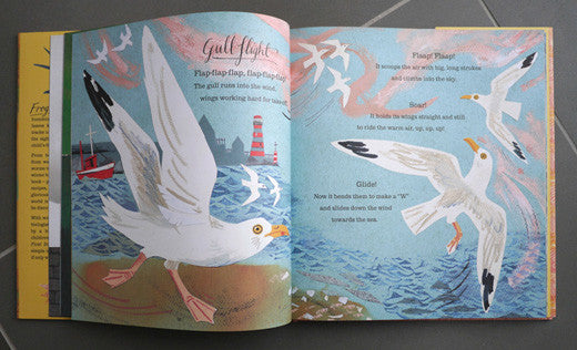 A First Book of Nature, illustrated by Mark Hearld – view 10