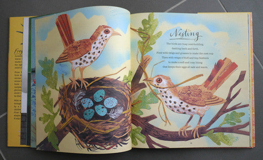 A First Book of Nature, illustrated by Mark Hearld – view 12
