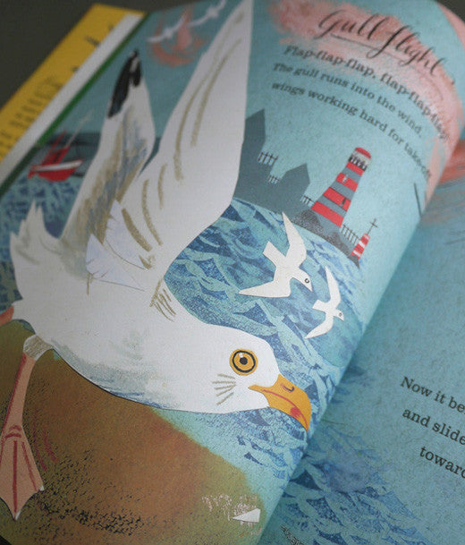 A First Book of Nature, illustrated by Mark Hearld – view 2