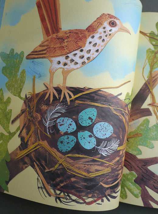 A First Book of Nature, illustrated by Mark Hearld – view 6