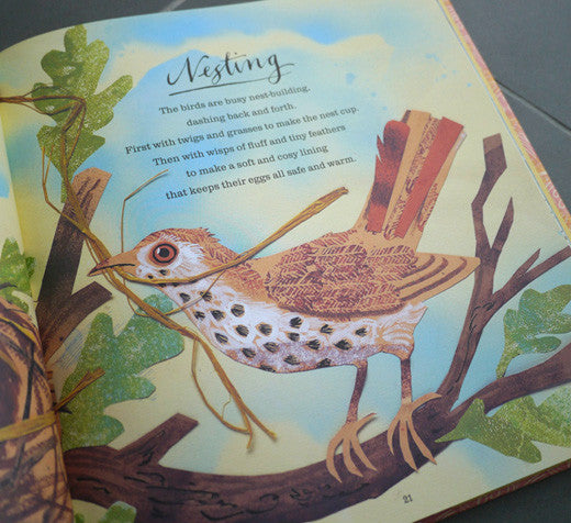 A First Book of Nature, illustrated by Mark Hearld – view 7