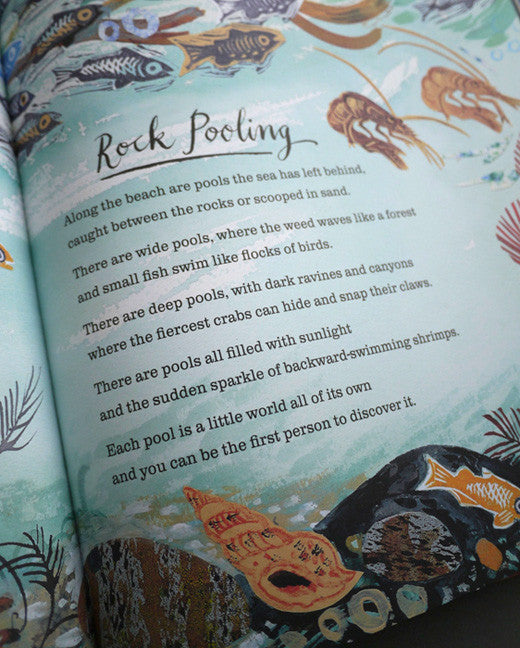 A First Book of Nature, illustrated by Mark Hearld – view 8