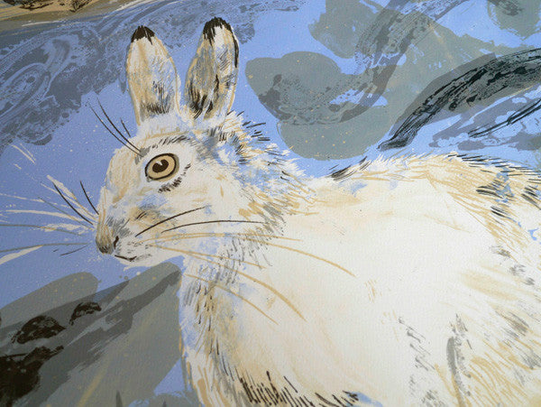 Mountain Hare - Mark Hearld - St. Jude's Prints