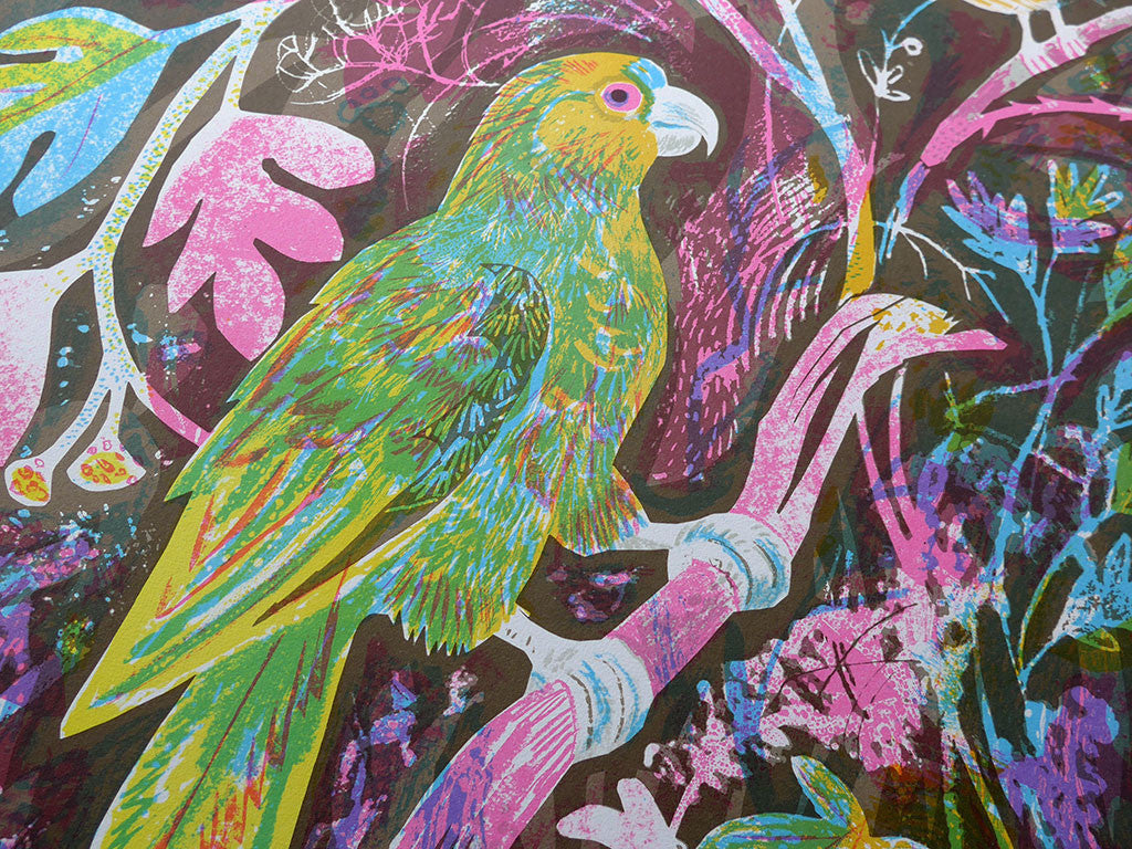 Still Life with Amazon Parrot - Mark Hearld - St. Jude's Prints