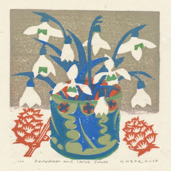 Snowdrops and Larch Cones - Matt Underwood - St. Jude's Prints