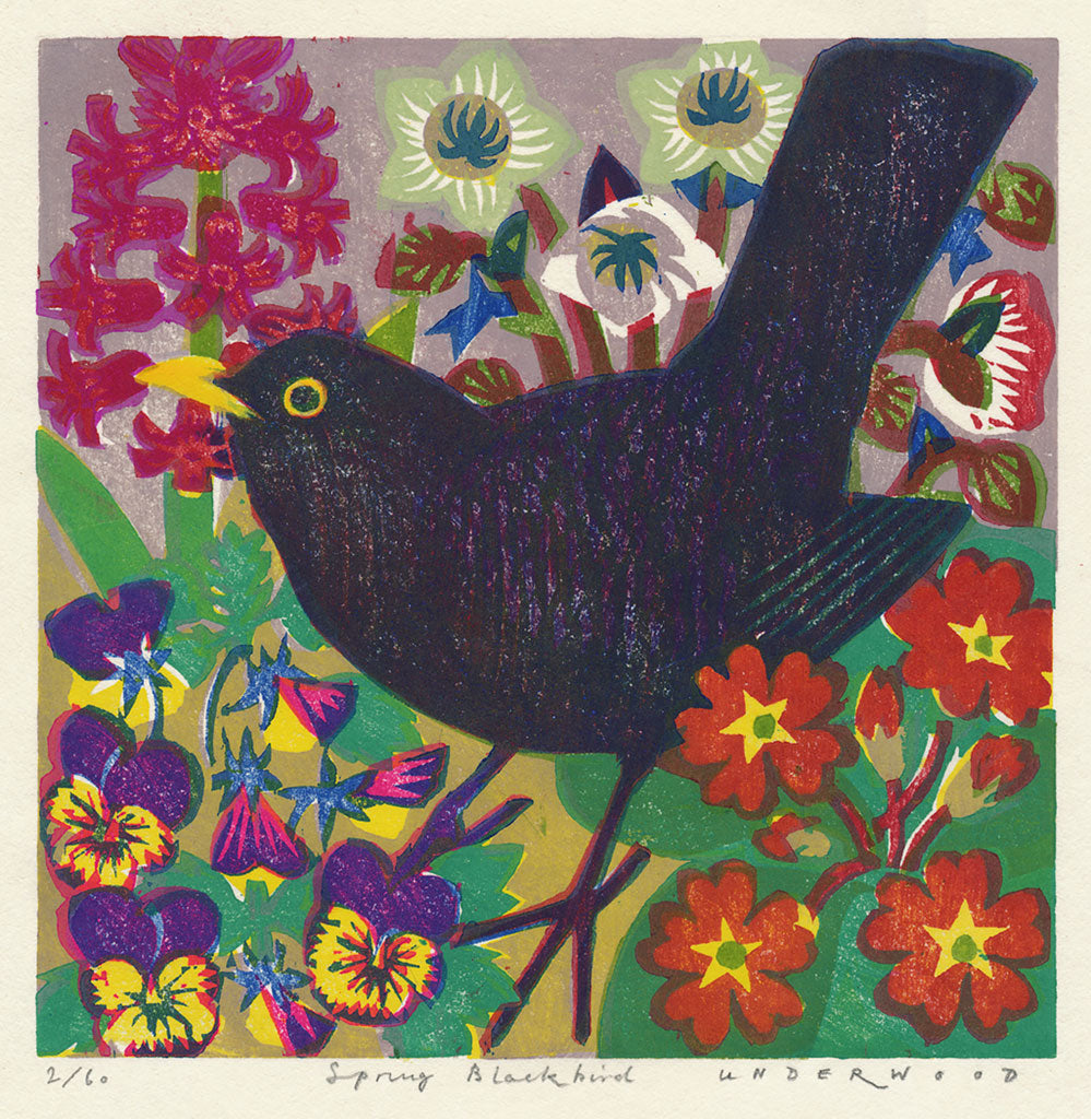 Spring Blackbird - Matt Underwood - St. Jude's Prints