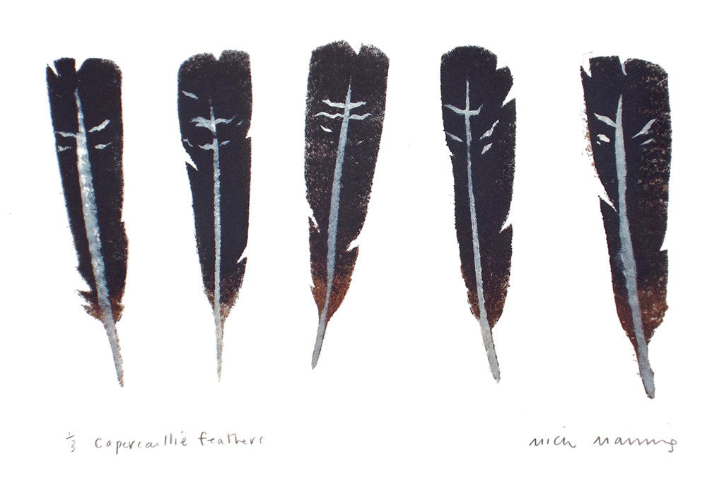 Capercaillie Feathers 1/3 - Mick Manning - St. Jude's Prints