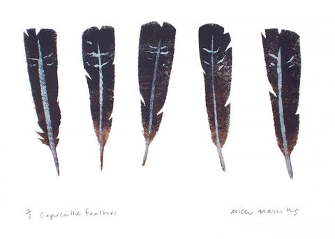 Capercaillie Feathers 2/3 - Mick Manning - St. Jude's Prints