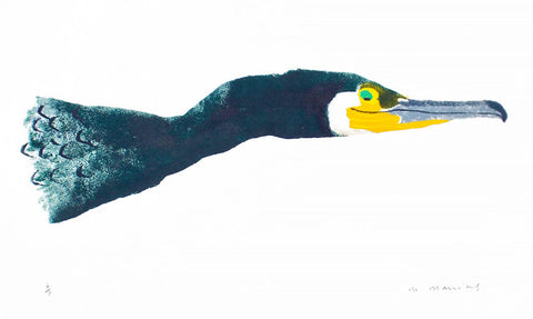Cormorant 6/8 - Mick Manning - St. Jude's Prints