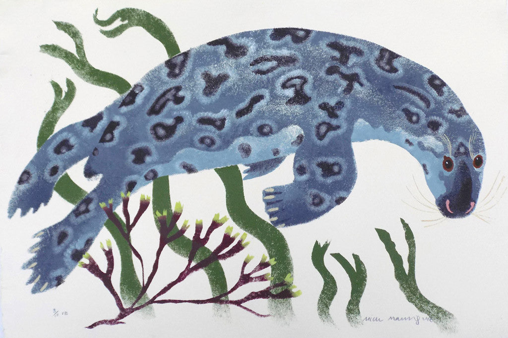 Curious Grey Seal - Mick Manning - St. Jude's Prints