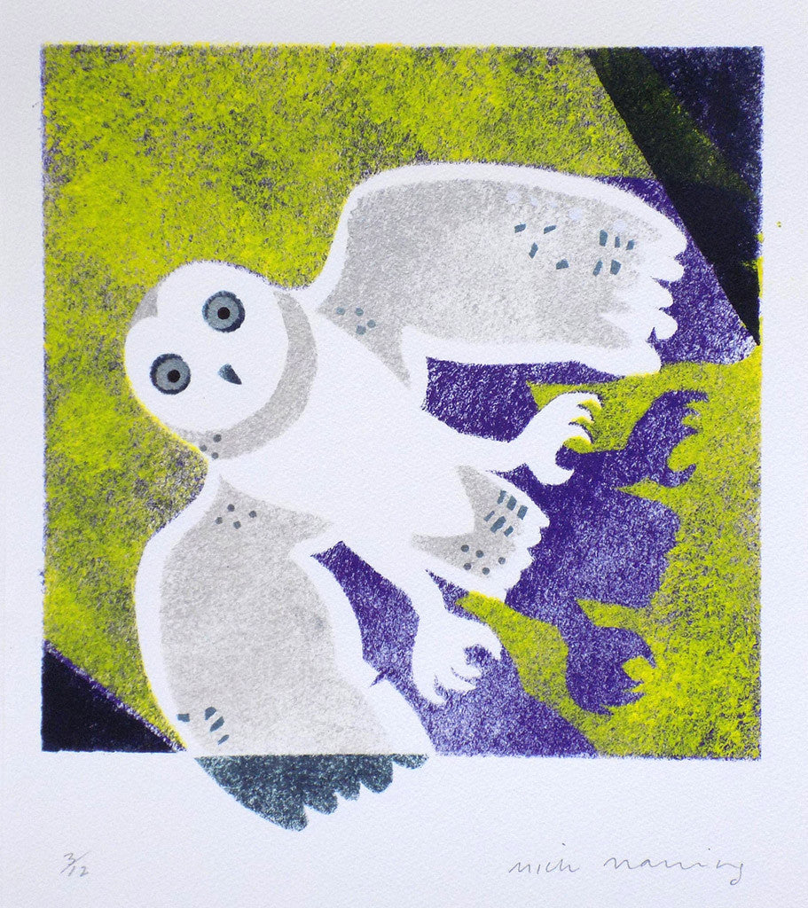 Dazzled - Mick Manning - St. Jude's Prints