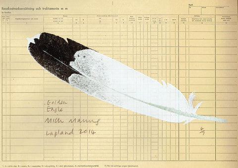 Golden Eagle Feather 4/7 - Mick Manning - St. Jude's Prints