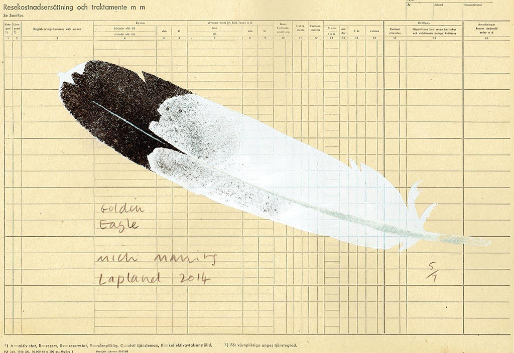 Golden Eagle Feather 5/7 - Mick Manning - St. Jude's Prints