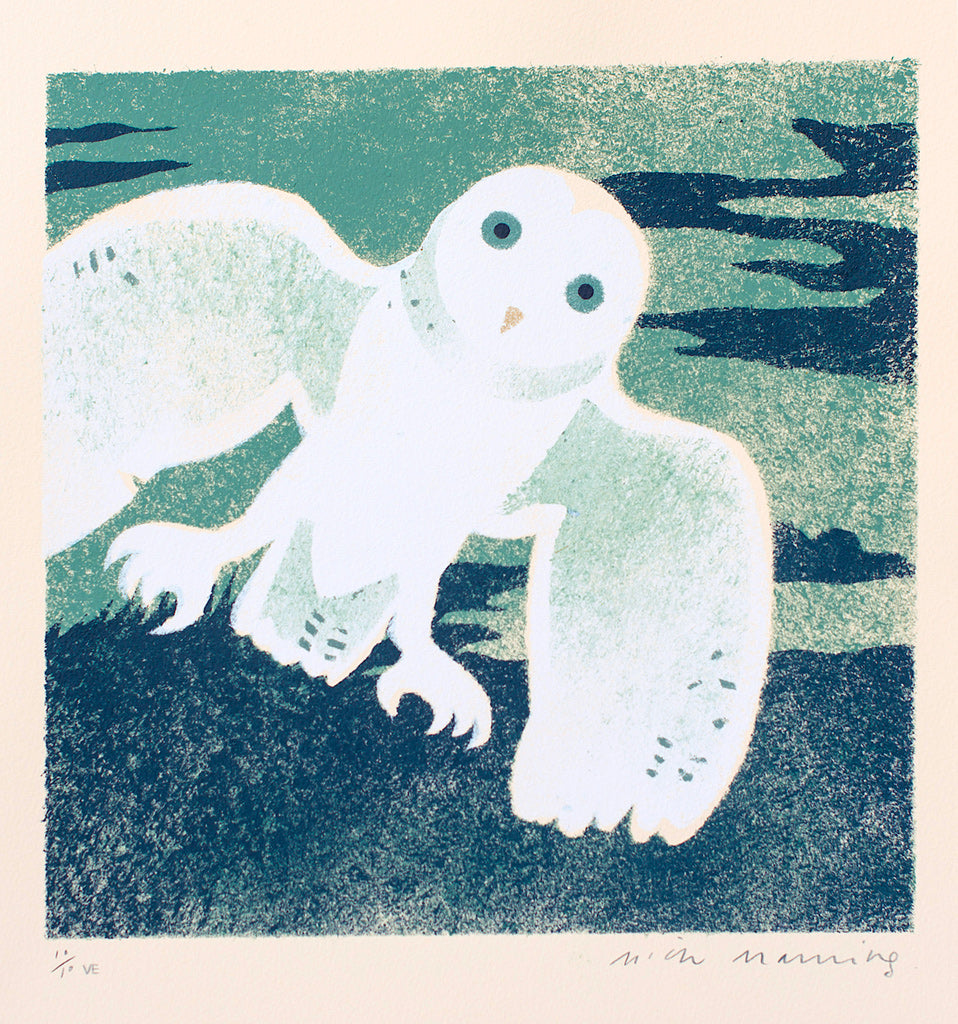 Green Owl - Mick Manning - St. Jude's Prints