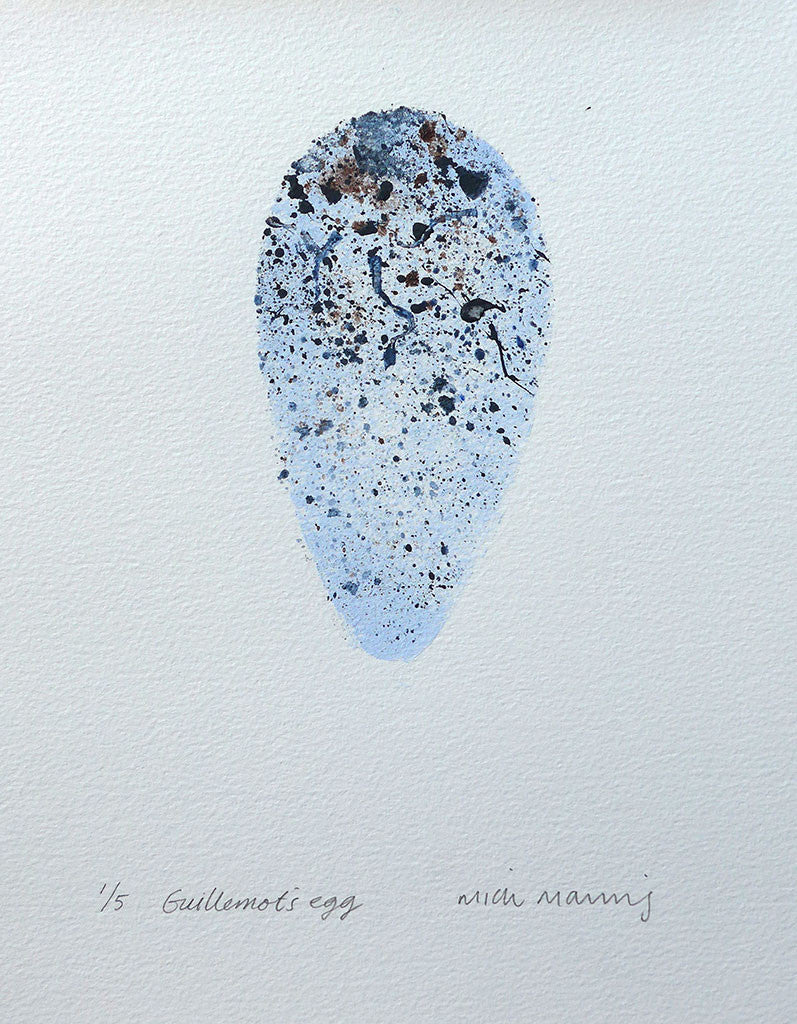 Guillemot's Egg 1/5 - Mick Manning - St. Jude's Prints