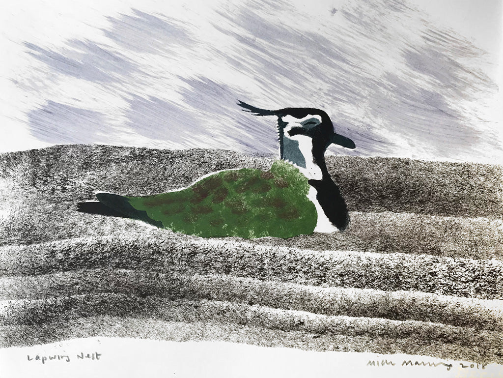 Lapwing Nest - Mick Manning - St. Jude's Prints