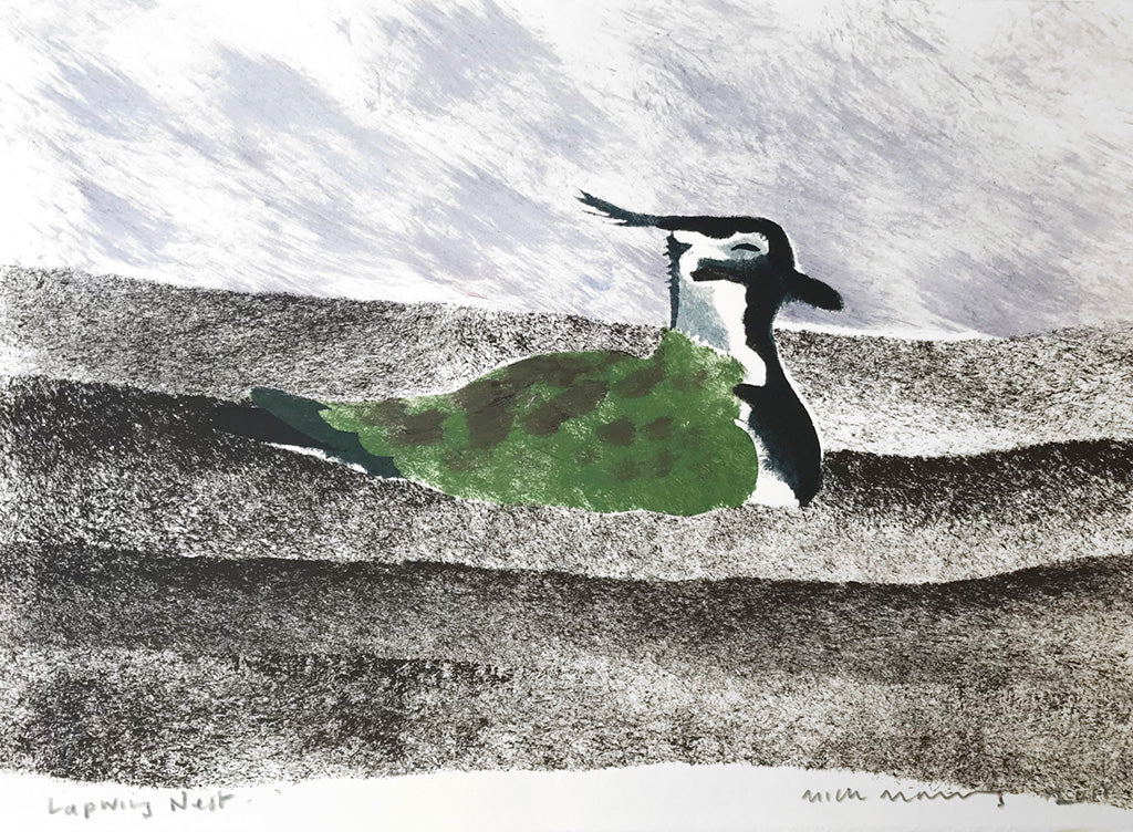 Lapwing Nest (second version) - Mick Manning - St. Jude's Prints